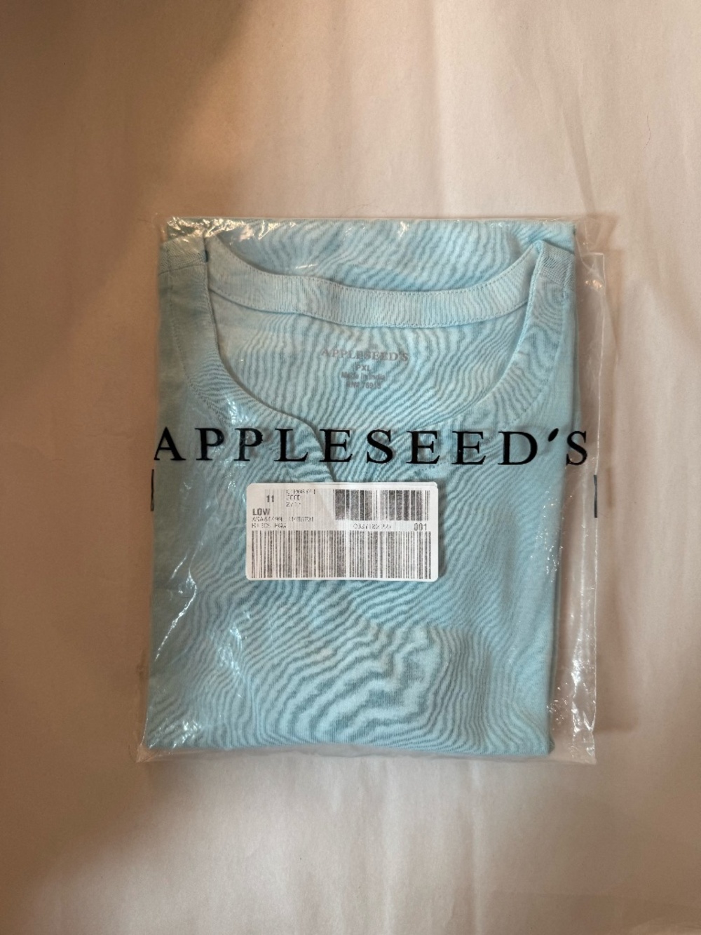 Appleseed's Coastal Cotton t-shirt, robin's egg blue, PXL